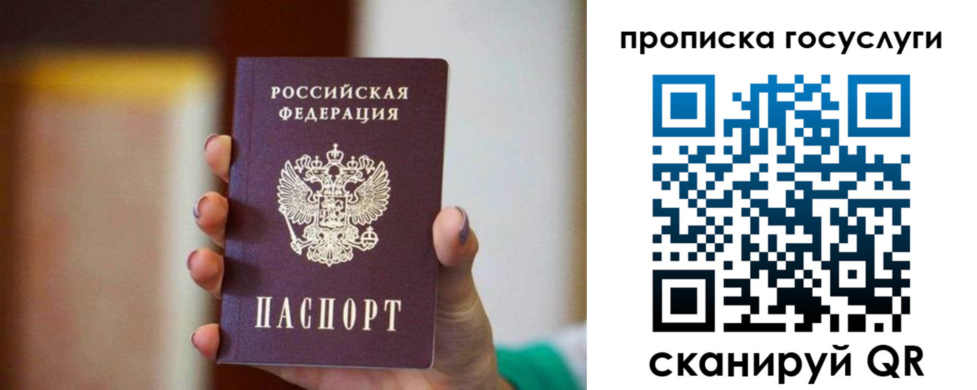 миграционный учет в Зеленоградске
